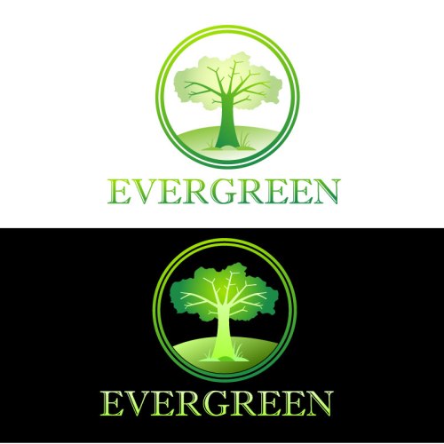 evergreen-3